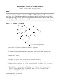 Behavioral interviews really are a new style of interviewing. Pogil Answer Key Membrane Structure Bing Fbc14dca0498a411821216c98d650549 Portal Nbasblconference Org