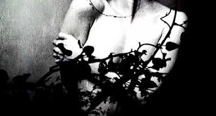 Bildergebnis für Marwa Adel