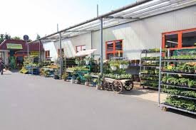 Soweit der artikel auch online bestellbar ist, gilt der. Garten Und Baumarkt Abe Ksk Bau Und Brennstoffhandlung Gmbh Angermunde