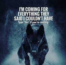 Pin On Quotes