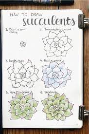 25 Best Succulent Cactus Doodle Ideas For Bujo Addicts Crazy Laura I love sharing step by step instructions on how to draw and paint small succulent plants and cactus, so that you can make your own inexpensive art work. 25 best succulent cactus doodle ideas