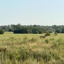 Adactio: Notes—March 17th, 2018, 3:27pm