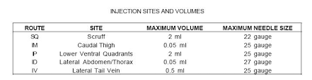 Mouse Injections Biomethodology For Laboratory Mice