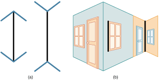 When viewers are asked to place a mark on the figure at the midpoint, they invariably place it more towards the tail end. What Is Perception Introduction To Psychology