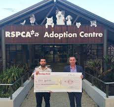 A dog that loves water? Spending Money Saves Lives With Bendigo Bank Rspca Queensland