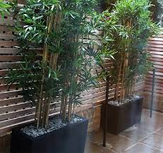 How to plant running bamboo in container pots. Best Artificial Bamboo Plants Perfect For Outdoor Privacy Screens Posh Pennies