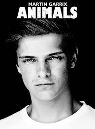 Martin Garrix Animals 34 Songs That We Loved In 2013 Capital Xtra