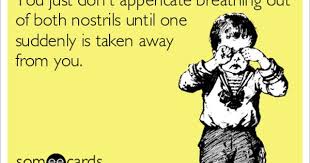 You Just Don T Appericate Breathing Out Of Both Nostrils Until One Suddenly Is Taken Away From You Haha Funny Ecards Funny Bones Funny
