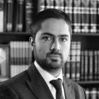 30+ perfiles de «Carlos Varela»