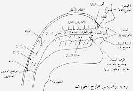 Https Www Alukah Net Sharia 0 48295