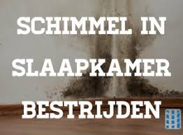 Daarom is een neutrale kleur super populair. Schimmel In Slaapkamer Bestrijden Waarom Duidelijk Stappenplan