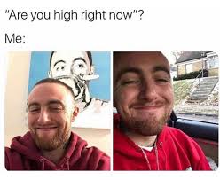 How high are you now feat tommy guernsey. 86 Best Weed Memes 2021 Try Not To Laugh