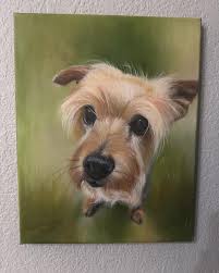 Time lapse of one of our favorite customers (they're all our favorites  😉❤️)“Bobbi” who was in for a tidy. A very sweet dog and so easy to work  with. All smiles. 🛁🧼🧽