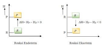 Gambar diagram tingkat energi untuk reaksi. Https Pdfdokumen Com Download 34 Rpp Termokimia Reaksi Eksoterm Dan Endoterm 59e7aebb1723dd4c5aeebe82 Pdf