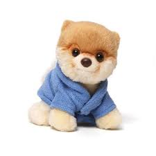 Itty Bitty Boo 012 Bathrobe 16 49 Boo The Dog Soft Toy Dog Plush Dog