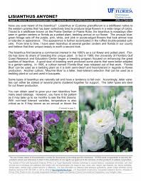 Image result for eustoma maurine