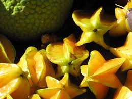 Image result for Averrhoa carambola