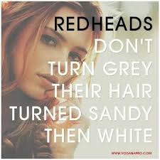 I M In The Sandy Stage People Think I M Blonde With Images Hair Facts Redhead Facts Redhead
