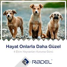 4 Ekim Hayvanlari Koruma Gunu