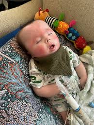 Our girl Jesse and her brothers and sisters