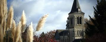 Die grafik zeigt die wöchentlichen anteile der besorgniserregenden varianten (variants of concern, voc) in den stichproben seit jahresbeginn. Site Officiel De La Mairie De Sancergues Dans Le Departement Du Cher 18