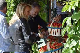 Marechal papillon mota nguigna chante a m$oto sur la moto avec son motorolla, album 2013. Sylvain Arramy Sylvainarramy Twitter