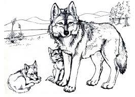 Machen sie eine pause und haben sie spaß mit dieser sammlung kostenlos druckbarer malvorlagen für erwachsene. Wolf Ausmalbild Ausmalbilder Fur Kinder Puppy Coloring Pages Wolf Coloring Pages Animal Coloring Pages