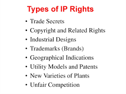 Trademarks are another familiar type of intellectual property rights protection. An Overview Of National And International Intellectual Property Systems And The Role Of Wipo Online Presentation