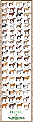 Breed Chart Horses Good Ideas Horses Horse Breeds