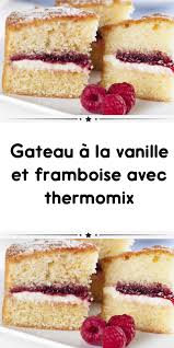 Gateau A La Vanille Et Framboise Avec Thermomix Gateau A La Vanille Gateau Gateau Moelleux