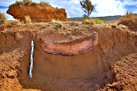 If you didnt know the giant stone heads on easter island klulli bodies. New Findings About Prehistoric Easter Island Heritagedaily Archaeology News