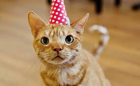 For a cat that is over two years old, the equation might look like this: Cat Age Calculator Modkat