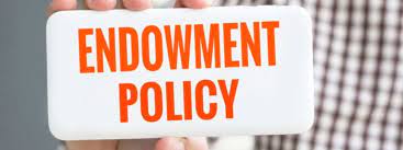 Endowment Policy | October 2022 - Your Definitive Information Guide