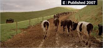 Why australia's huge farms are increasingly relying on technology to monitor their livestock. Surviving Without Subsidies The New York Times