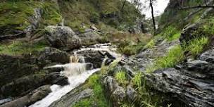 Catchment Conversation - Hindmarsh and Inman River