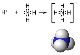 Each o atom has three pair of dots, one on each unbonded side. Covalent Bonding In Polyatomic Ions Chemistry For Non Majors