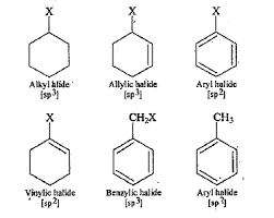 4.Out Of , Which Is An Example Of Allylic Halide ?5. How The Following ..