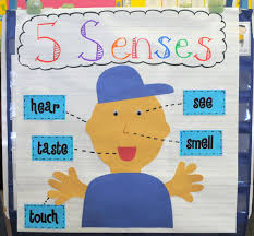 5 Senses Worksheets For Kindergarten Then The Kids Helped