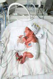 Photo Gallery Greater Hall Chamber Of Commerce Nicu Baby Neonatal Nurse Neonatal Nurse Practitioner