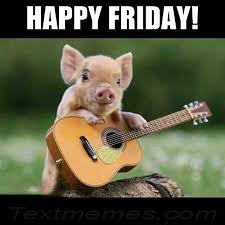 If you ask any working person or student what their favorite day of the week is, i'd venture to say that friday would be their #1 answer. Meme Creation Happy Friday Meme Funny