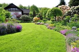Wake pro lawn care darbojas nomas aprīkojums, ainavu veidošana, lauksaimniecības vairumtirdzniecība aktivitātēs. Portfolio 919 263 5200