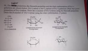 Drawing a sugar's chair conformation from a haworth structure or fischer projection if you have either the haworth structure or the fischer projection of the sugar, drawing the chair conformation of the sugar is easy as long as you remember the orientations of the axial and equatorial bonds on each carbon atom of the chair conformation. The Fischer Projection The Haworth Projection And Chegg Com