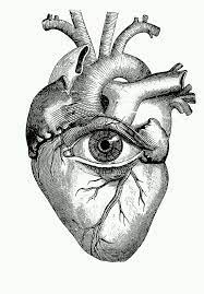 Pin By Natalia Madeyska On A Coeur Anatomy Art Anatomical Heart Drawing Human Heart Drawing