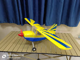 บินส่งงาน super Decathlon cartoon