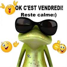 Ok C Est Vendredi Rest Calme Vendredi Bon Vendredi Humour Grenouille Lunettes De Soleil Bonne Hum Grenouilles Droles C Est Vendredi Humour Humour Lunettes