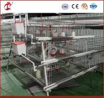 Bestchickencage China Small Chicken Hutch Manufacturers a Frame Automatic  Broiler Cages OEM Custom Classic / Outdoor Style Small Portable Chicken Coop