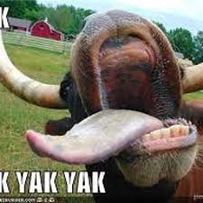 Our reviewers think that one of the best parts of the arabian fire online slot is the amazing bonuses. Stream Yak Yak Yak Yak By Yellowboy626 Listen Online For Free On Soundcloud