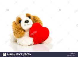 Un mignon petit chien amoureux valentine avec coeur rouge Banque D ...