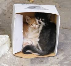 Fez Rabat And Meknes C Joannevandalen Koty