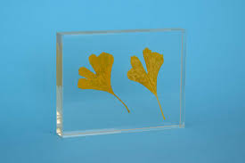 Sind insekten als lebensmittel zugelassen? Basteln Mit Kunstharz Anleitung Tipps Tricks Einbetten In Giessharz